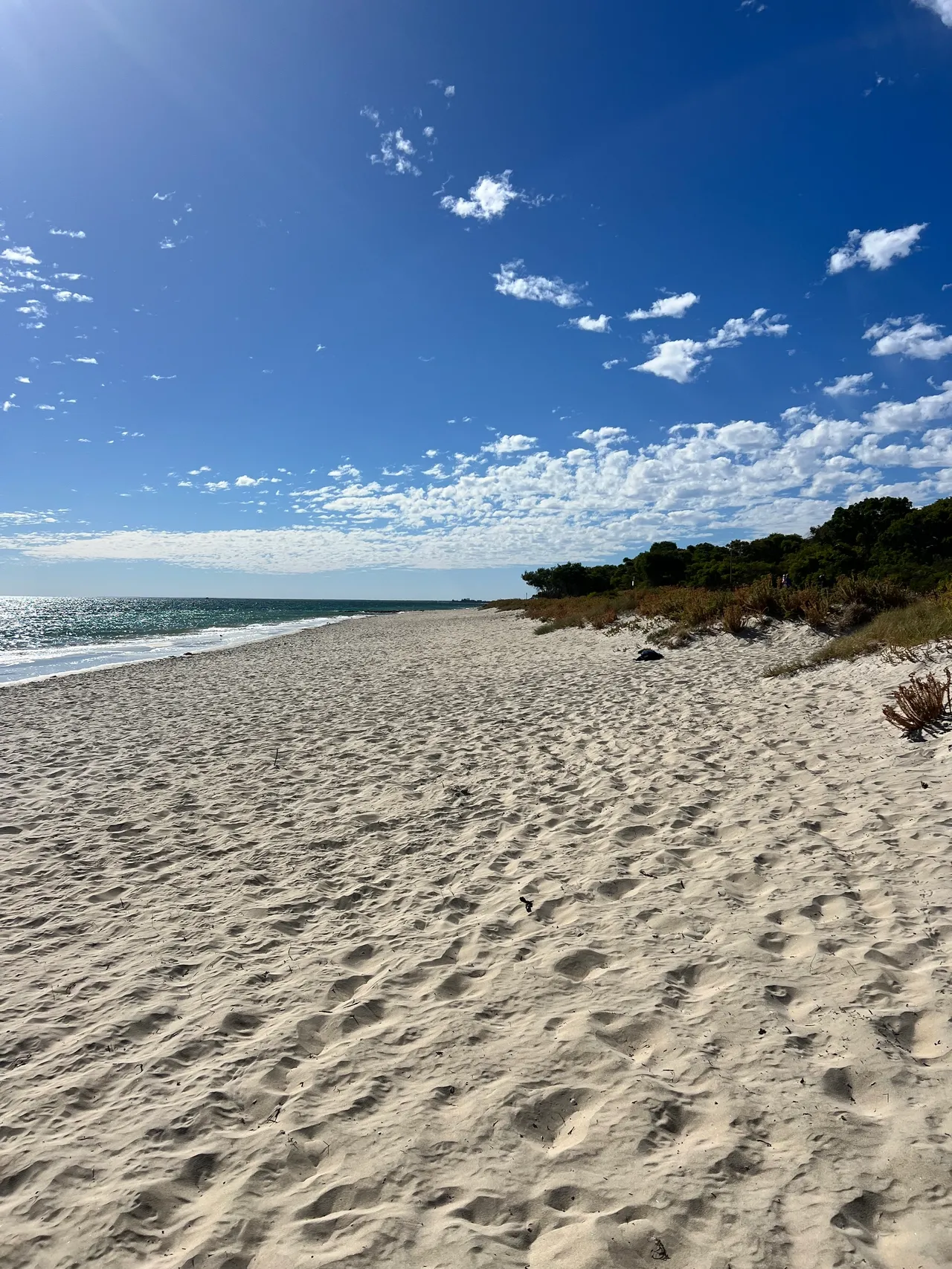 Picture of a beach in the Southern Suburbs of Perth WA